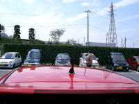 �f�g�}�\�̔w�ォ��B�e�I