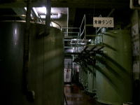 ���y�^���N�B���C���L������