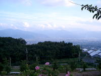 �J����t���[�c�������R���s��]��